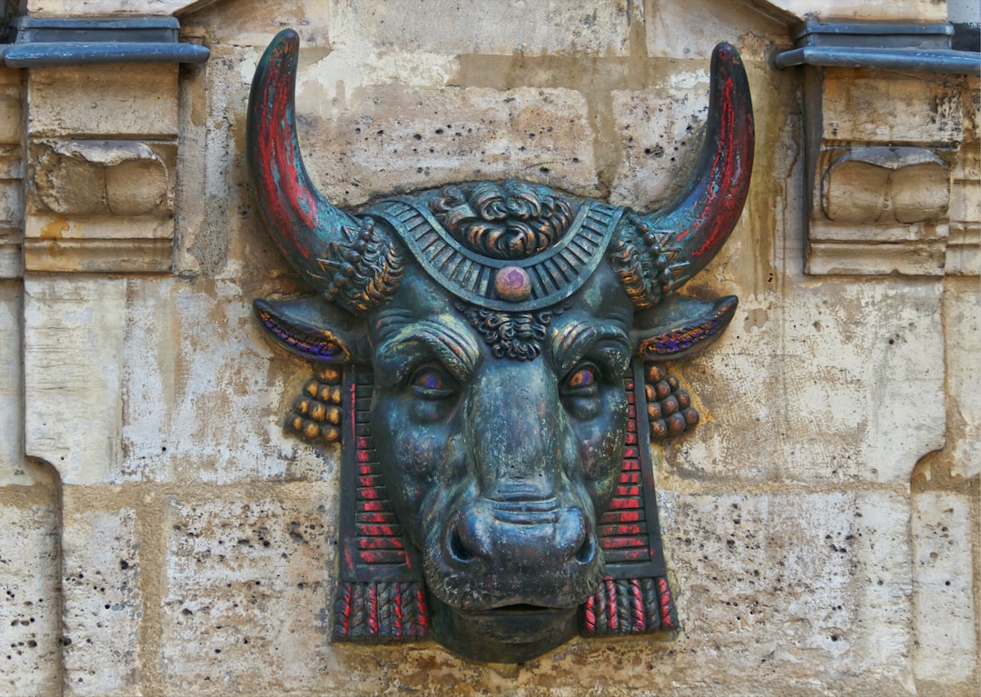 The Bull Case in Focus