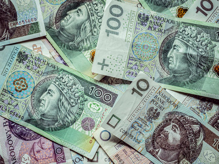 Market and Household Implications