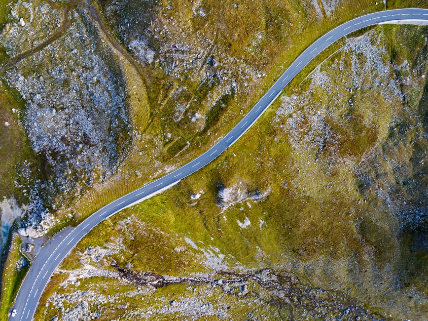 The Road Ahead: Policy, Spending, and Personal Finances
