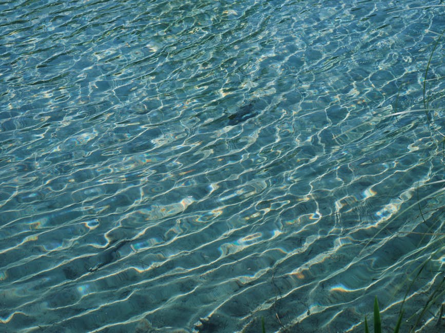 2) Regulatory Clarity And Ripple’s Ongoing Legal Developments
