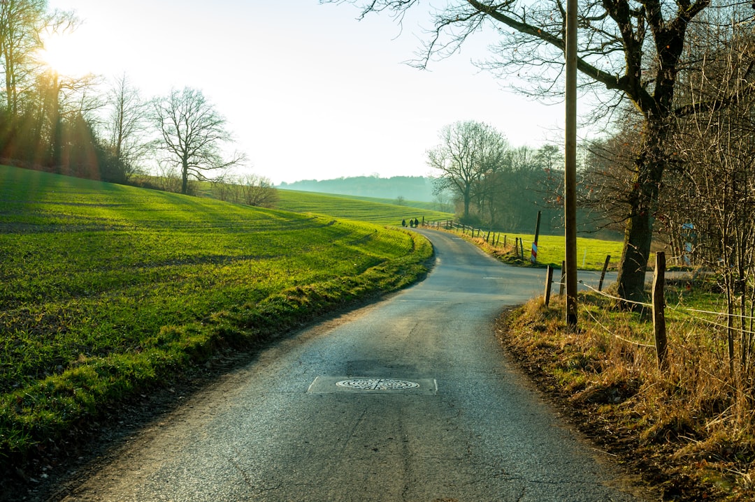 Policy Signals and the Road Ahead