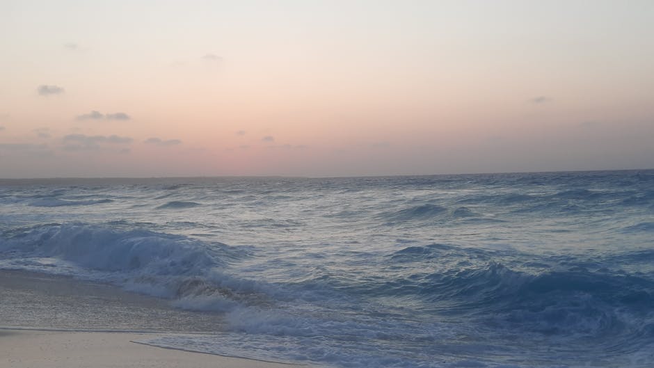 The Reddit Debate: reddit split whether paypal