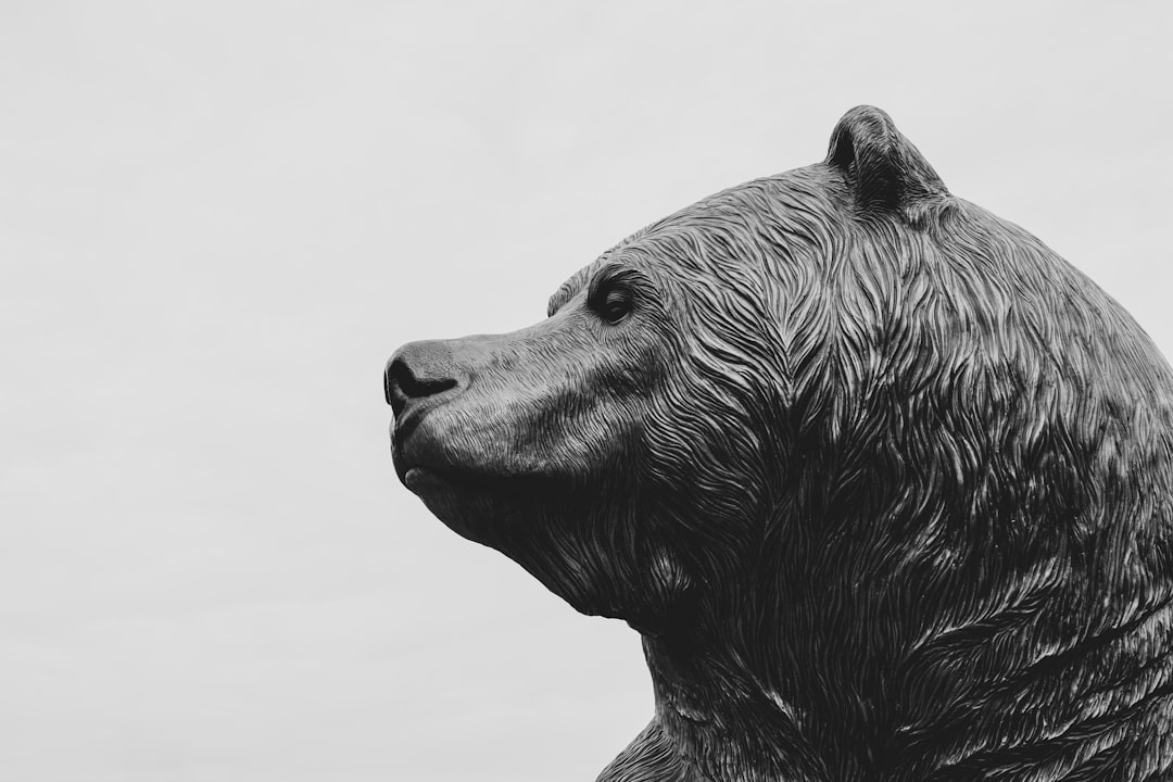 Bear Case: Growth Slows, Valuation Pressure Persists