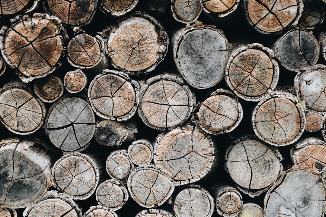 Why logs matter in loans and titles