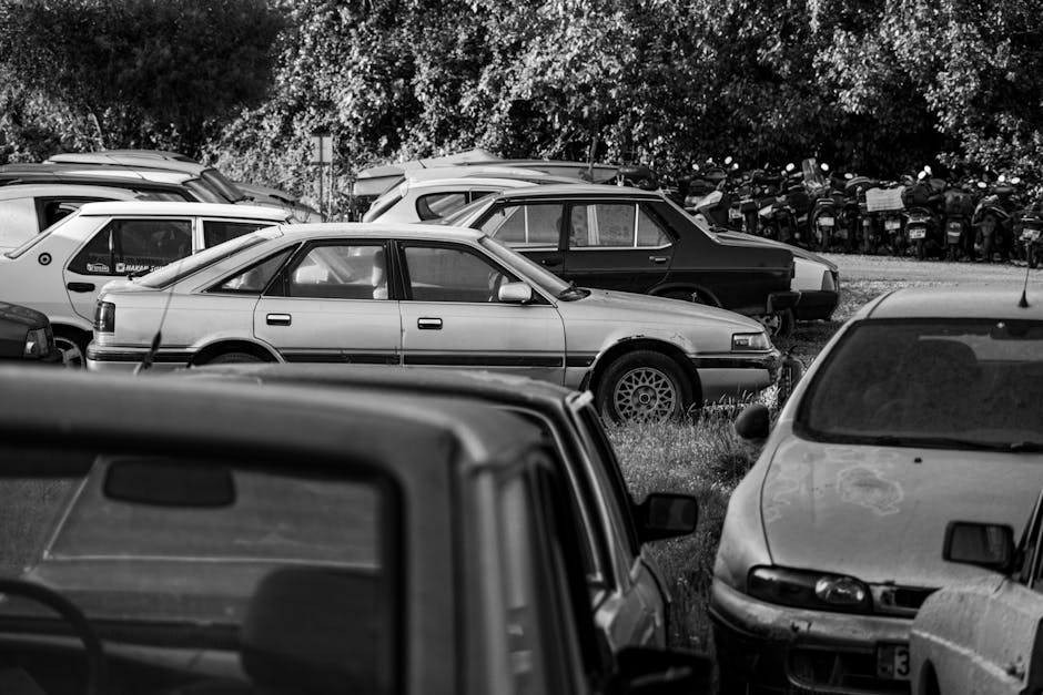 Catalysts Behind the Week's Rally