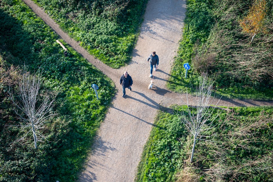 Guidance, Capital Allocation, and the Path to Shareholder Value