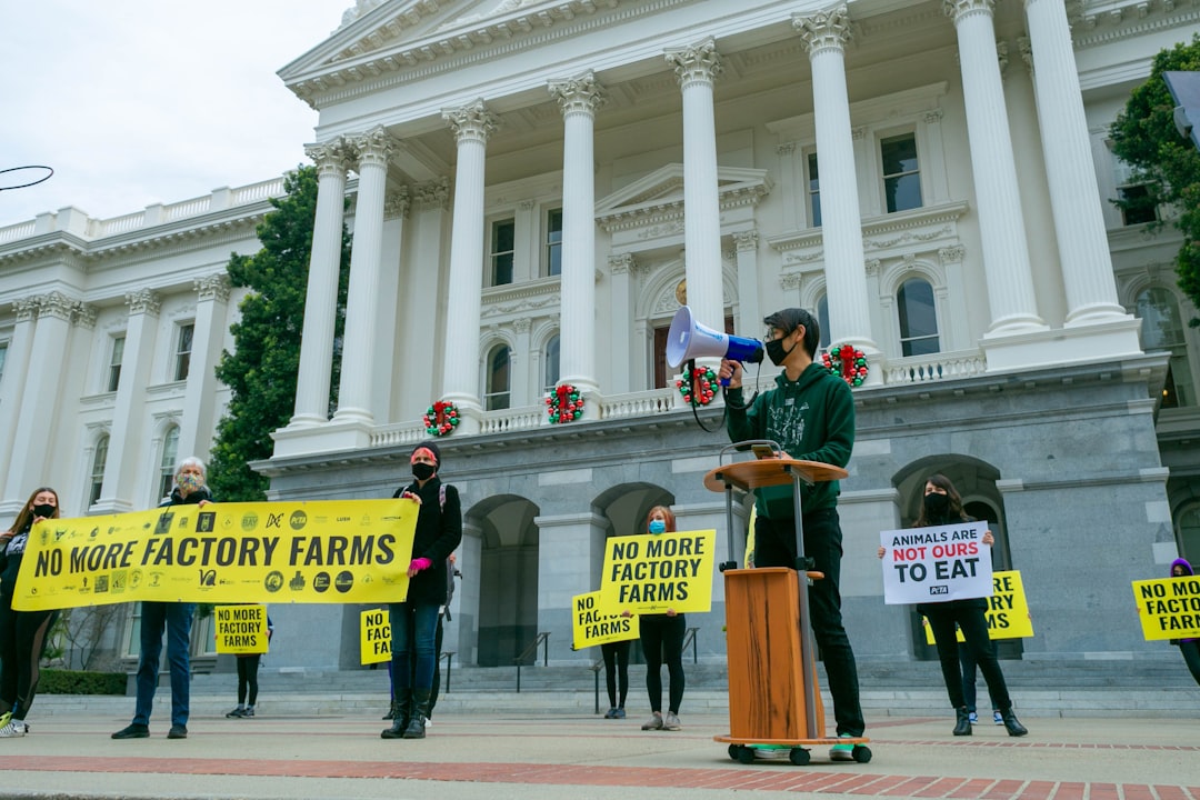 A Republican Lawmaker Plans Prediction: The Legislative Move
