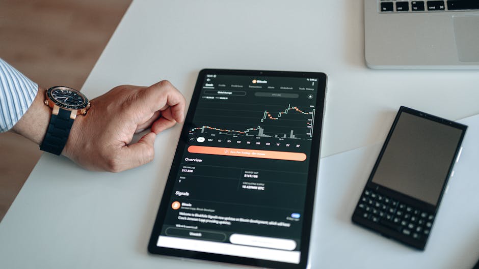 Valuation and Risk: What to Watch in a Rapidly Moving Stock