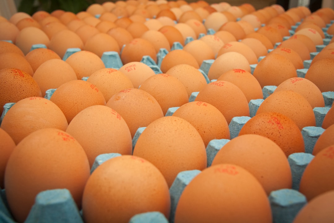 Bottom Line: A Million Nest Egg, A Real-Life Budget