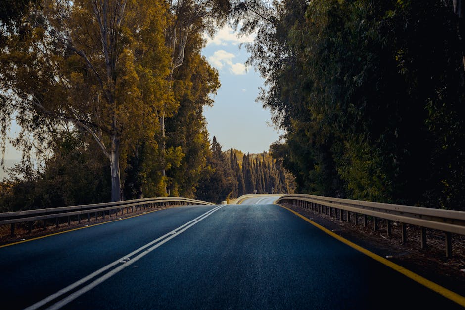 Analyst Perspective: The Ripple Roads Lead Analyst View