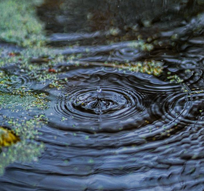 Ripple’s Strategy Post-Case: Compliance, Partners, and Growth