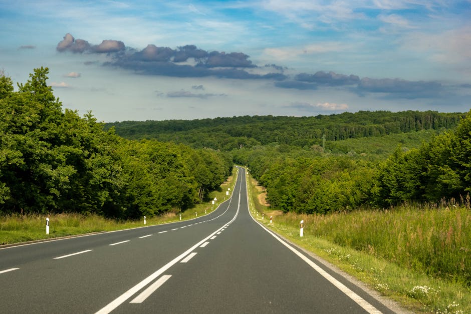 Outlook: What This Means for the Road Ahead