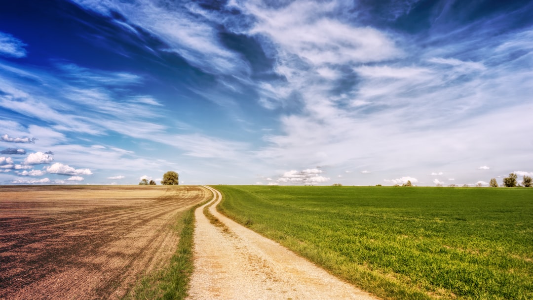 Which Path Is Winning? Early Signals and Investor Reactions