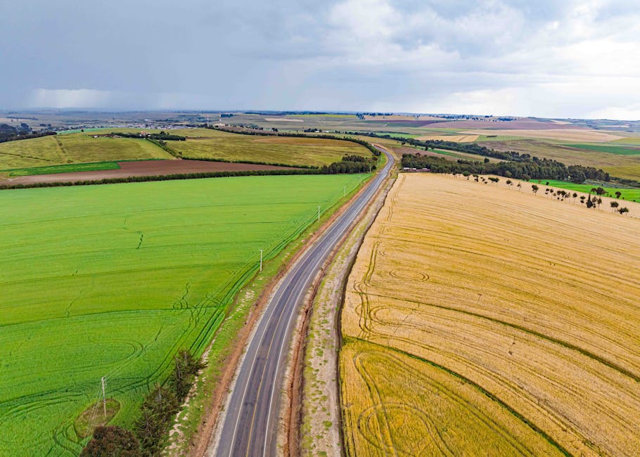 Near-Term Price Targets and The Road Ahead