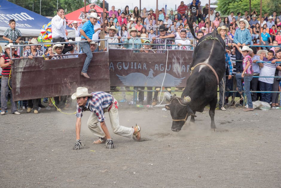 Risks to the Bull Case