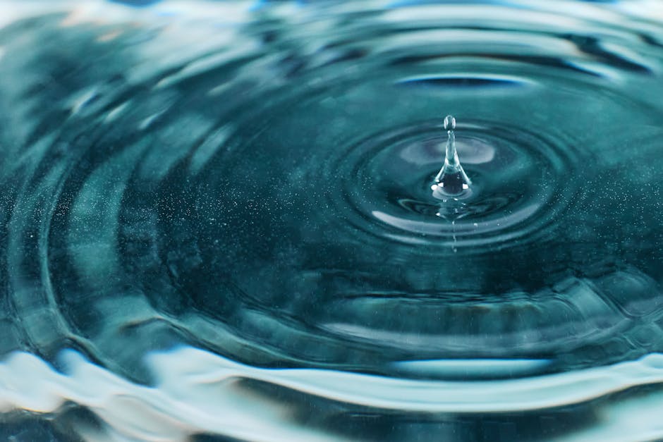 Ripple’s Market Position and Use Case Outlook