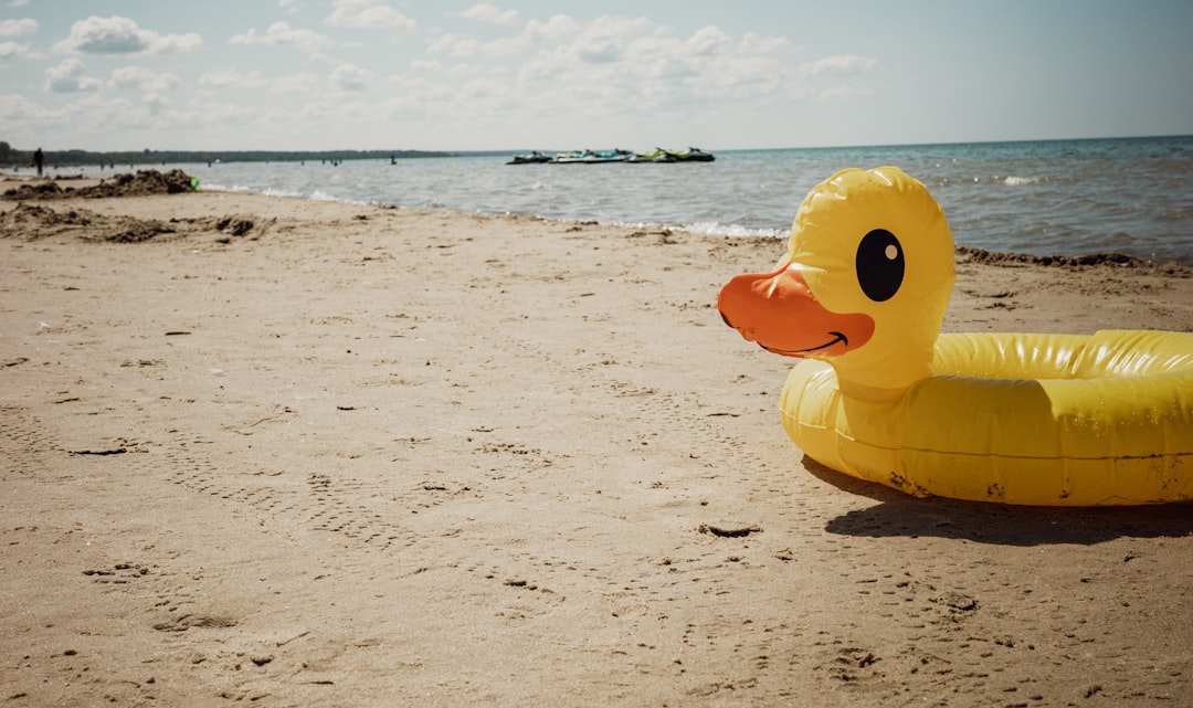 What This Means for Your Summer Portfolio