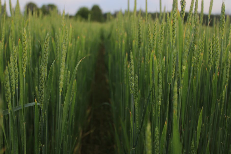 Perspectives from the field