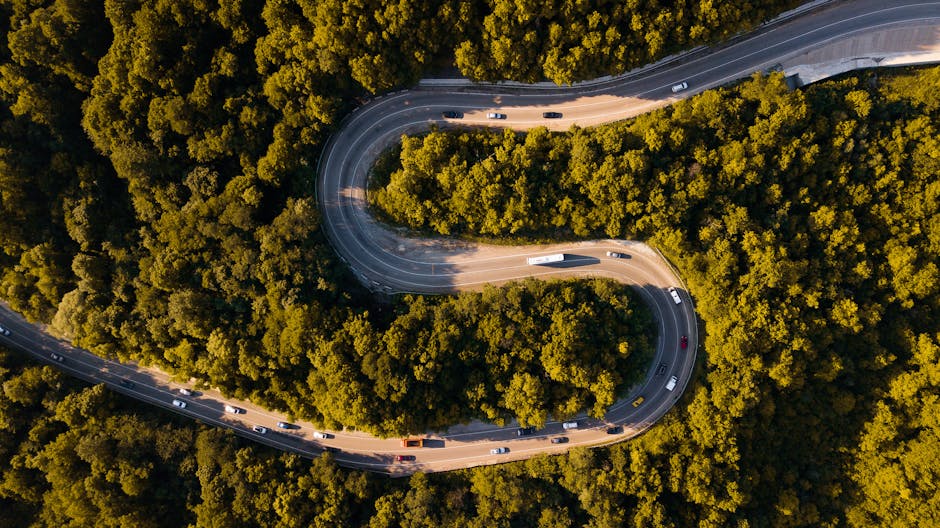 Key Metrics to Watch in the Road 2026 Earnings Transcript