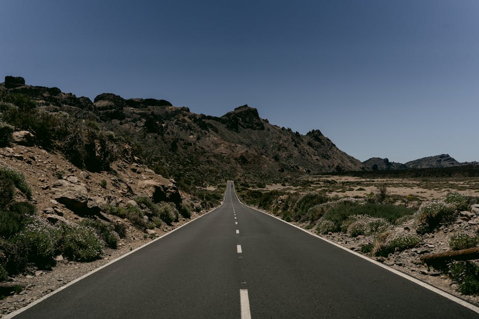 National Implications and the Road Ahead