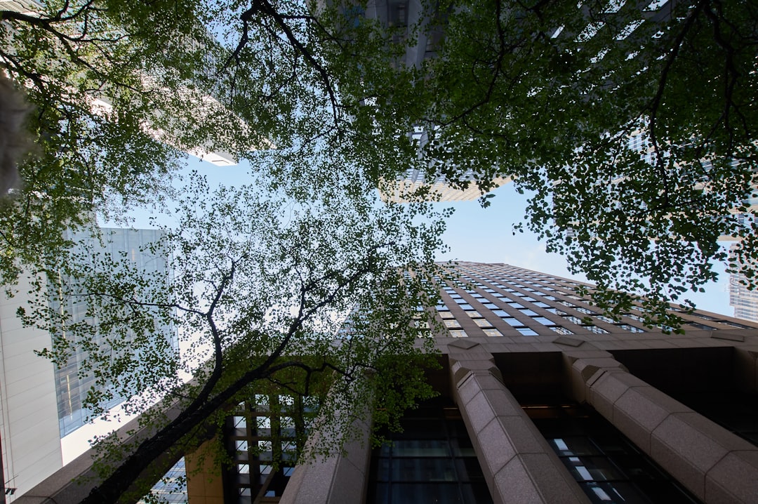 Real-World Comparisons: How Root Stands Up to Peers