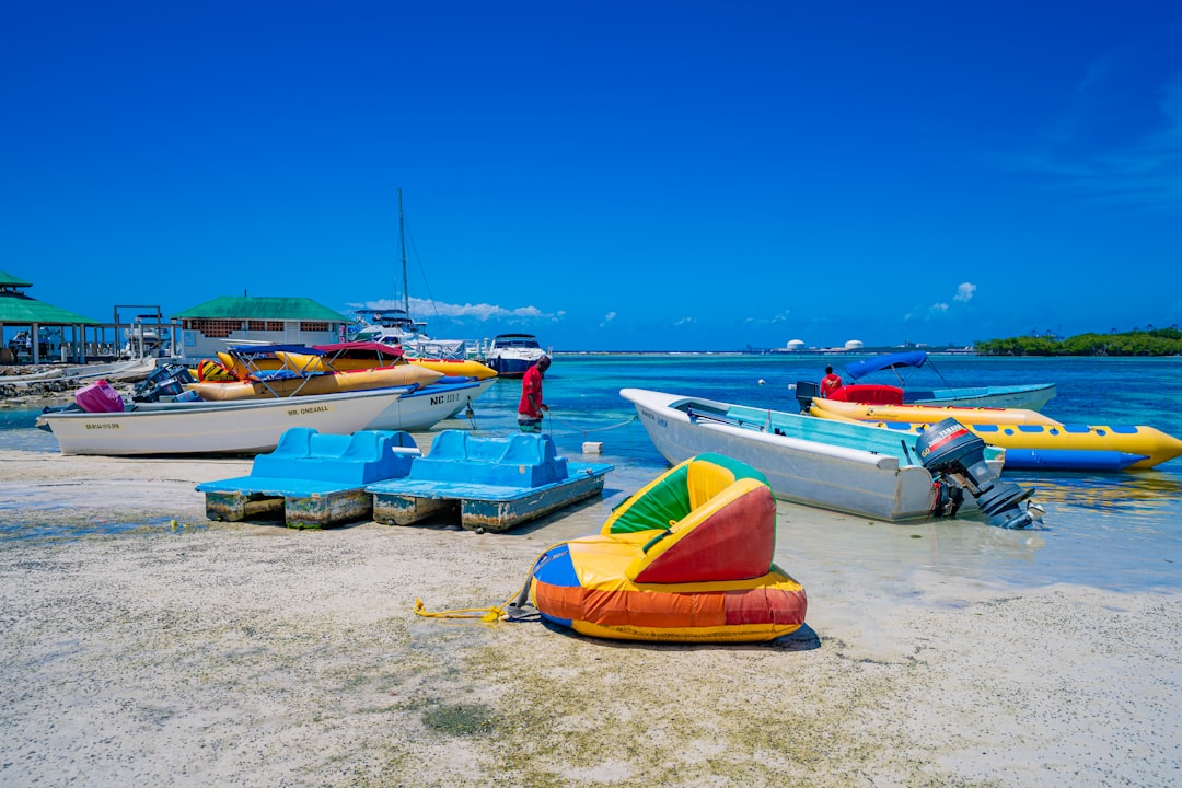 How to approach a royal caribbean stock buy within a diversified portfolio