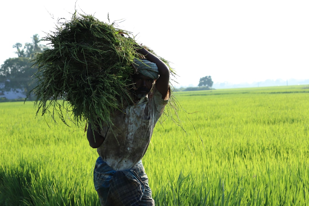 What Farmers Are Saying: Ground-Level Voices