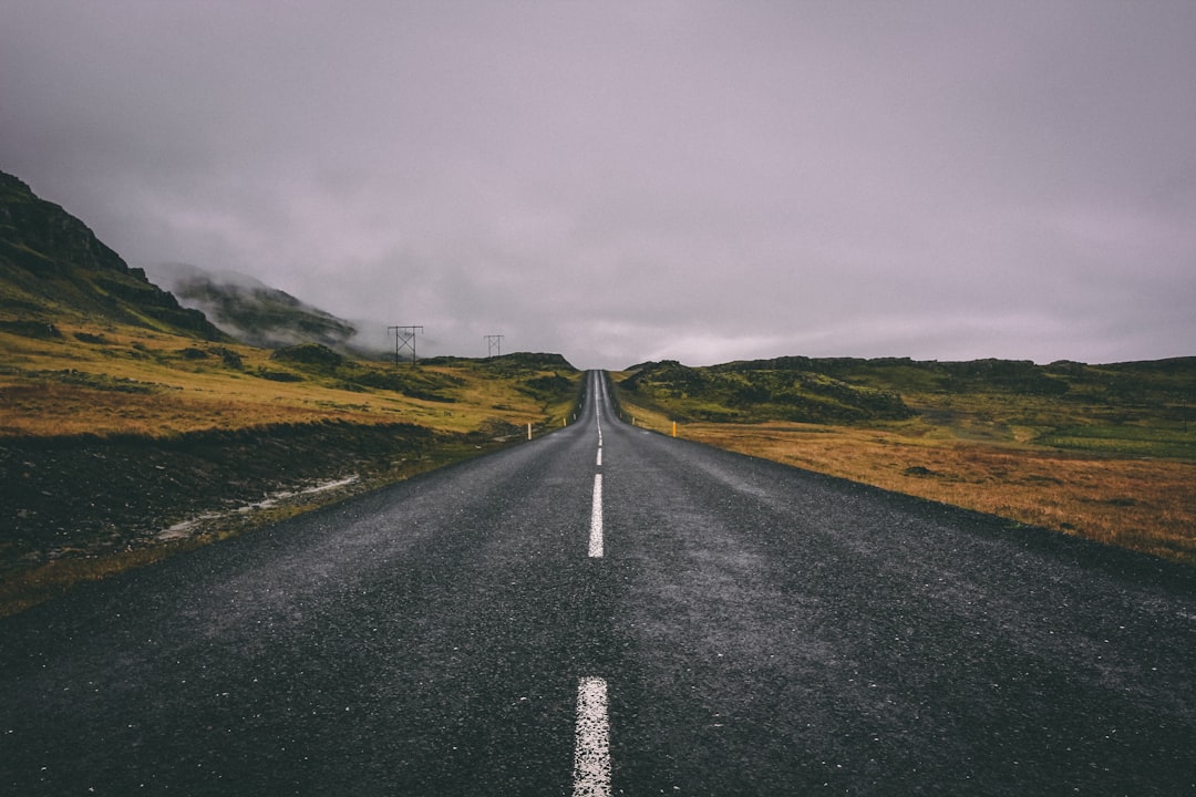 Policy Options and The Road Ahead