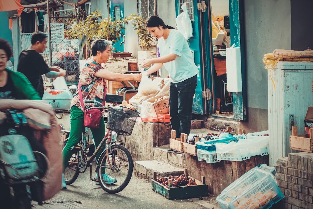 Impact on households and everyday life