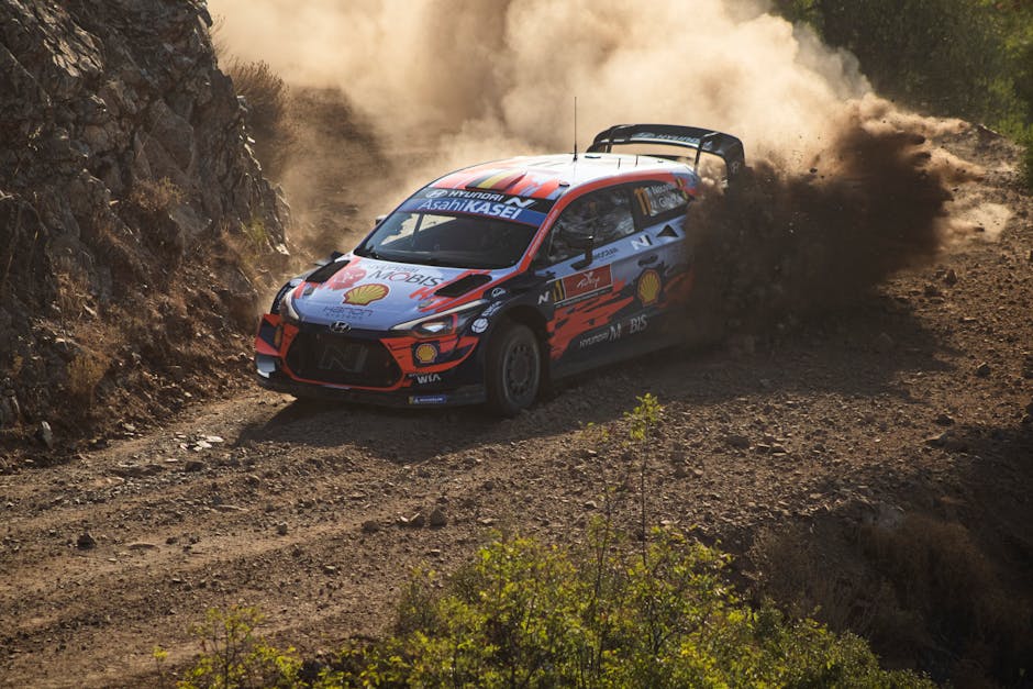 What Is Driving the Rally?