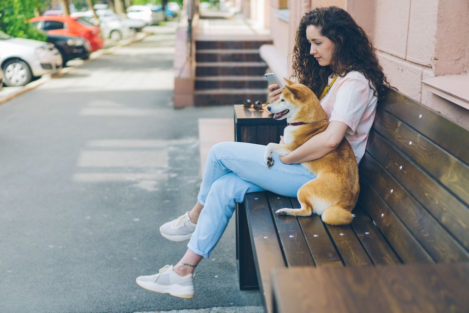 Protecting Your Missing-Pet Posts and Your Wallet