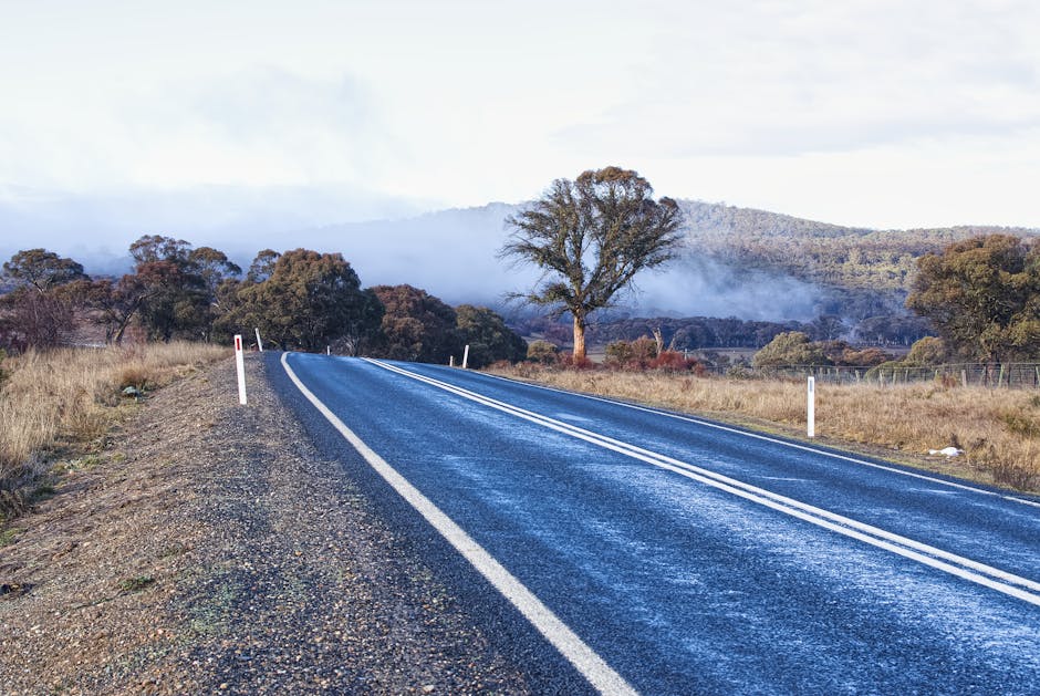 Market Voices On The Road Ahead