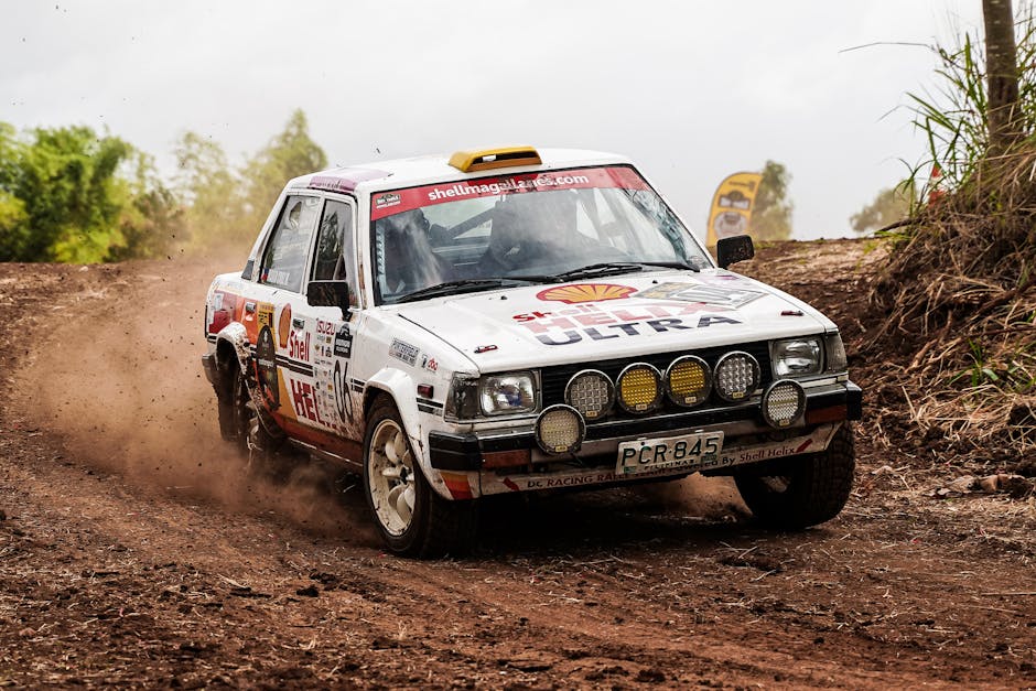 The Rally in Early 2026: What Is Driving the Move?