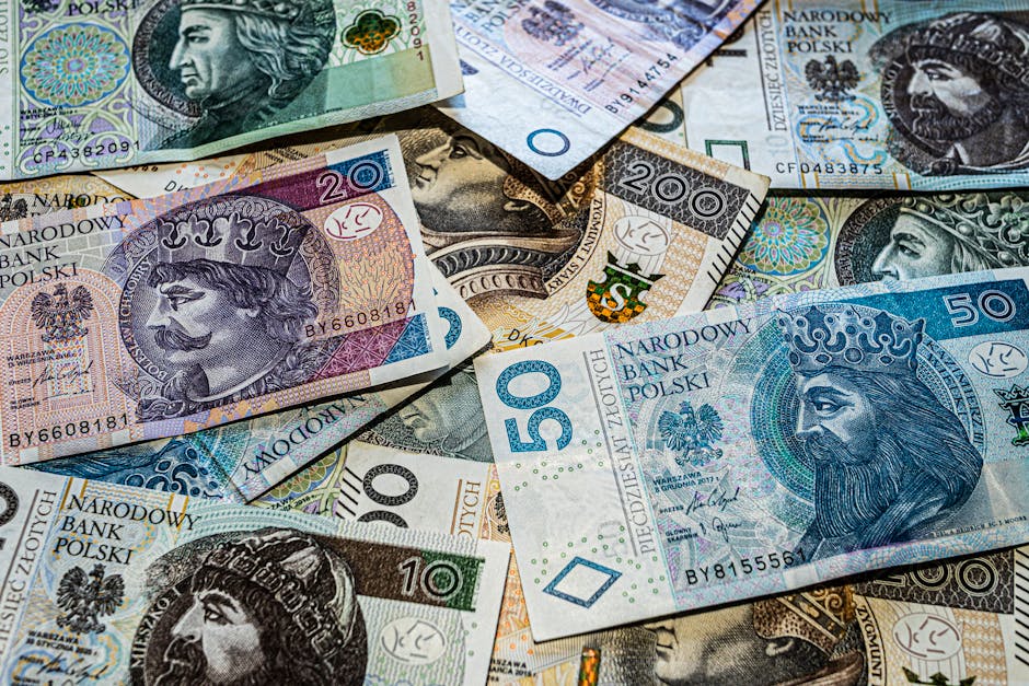 What Comes Next: The Legal and Political Road Ahead