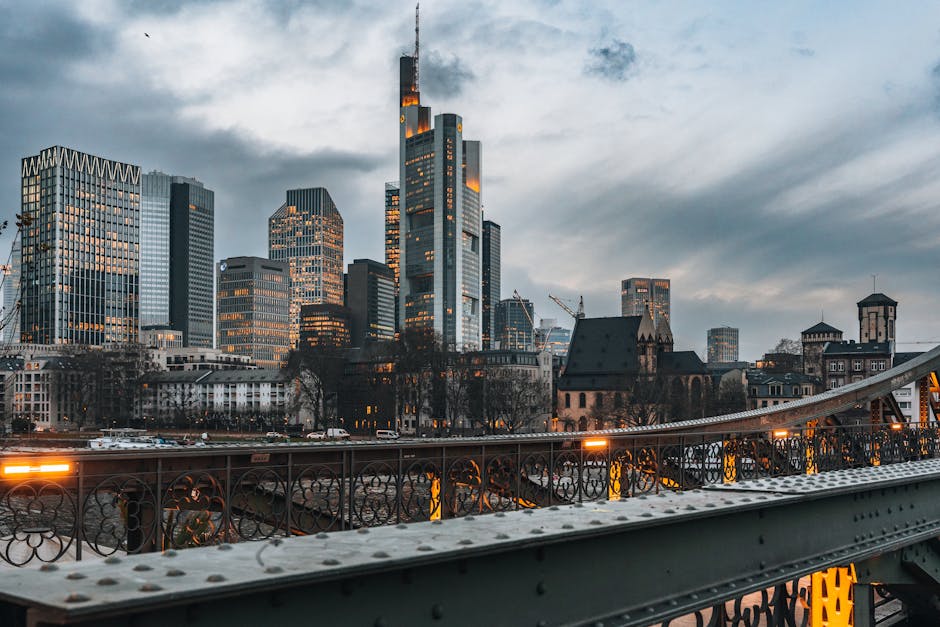Industry Response And Expert Views