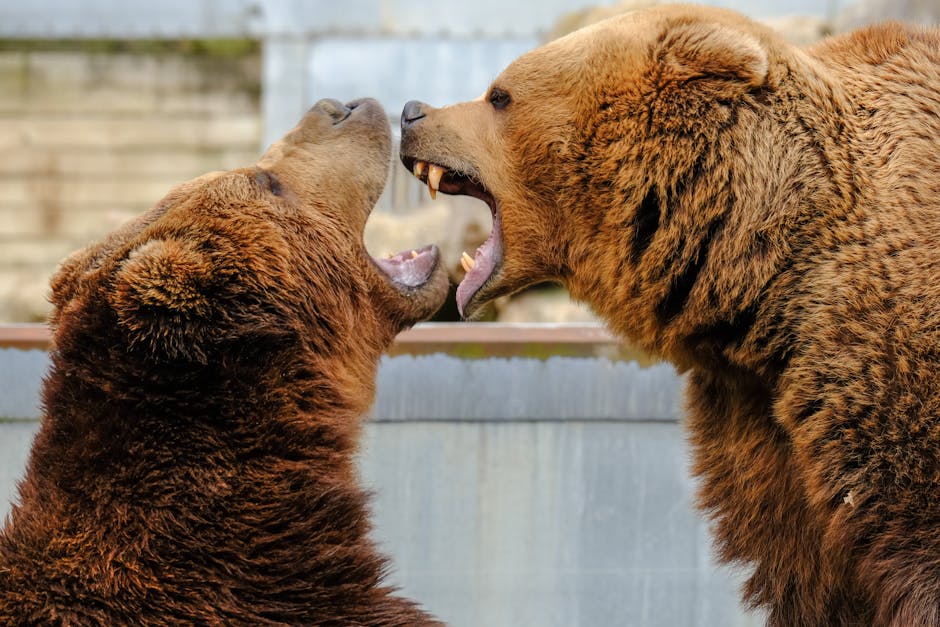 The Bear Case: Cash Burn And Valuation Risks
