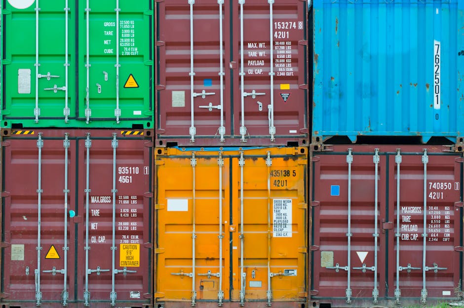 Real-World Examples: Supply Chains, Demand Shocks, and Innovation