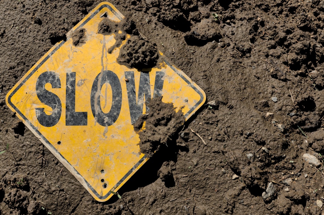 Risks And What Could Slow The Long-Term Upside