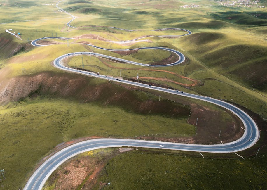 Growth Drivers and Strategic Pathways
