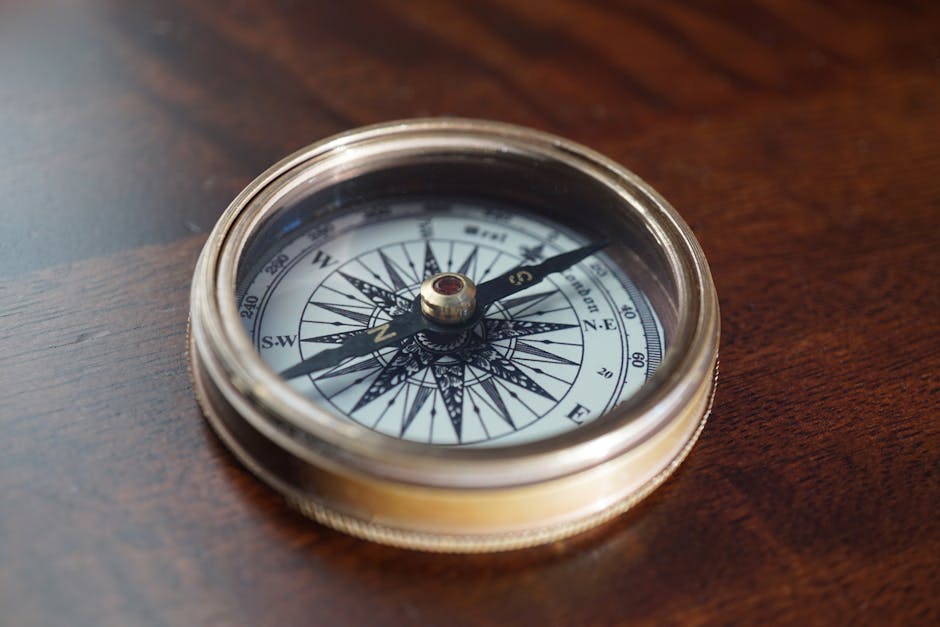 Outlook: Navigating a Fragile Calm