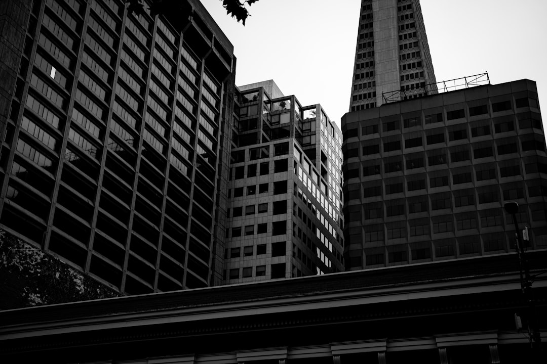 Outlook and Investor Takeaways