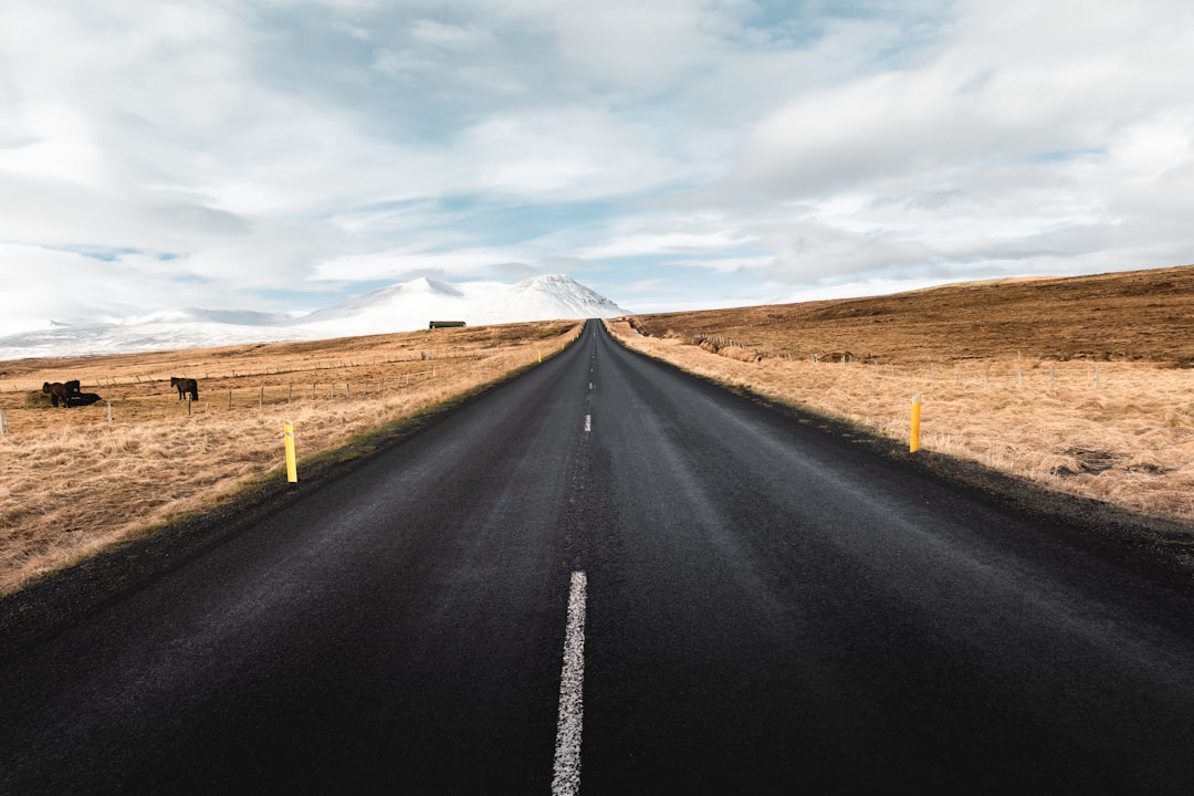 The Road to $200 Million: Wealth, Work, and Real Estate in a High-Value City