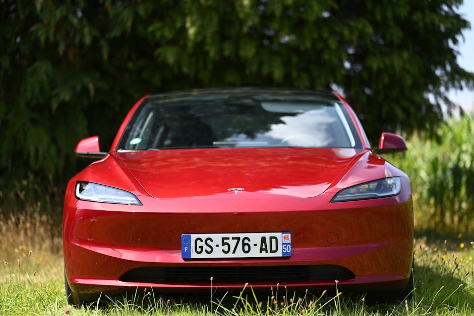 Should investors sell tesla? Practical frameworks for a decision