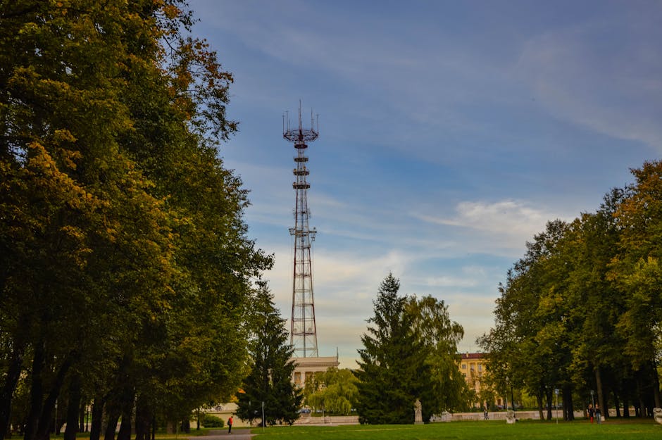 Practical Framework: Turn Signals Into a Personal Investment Plan