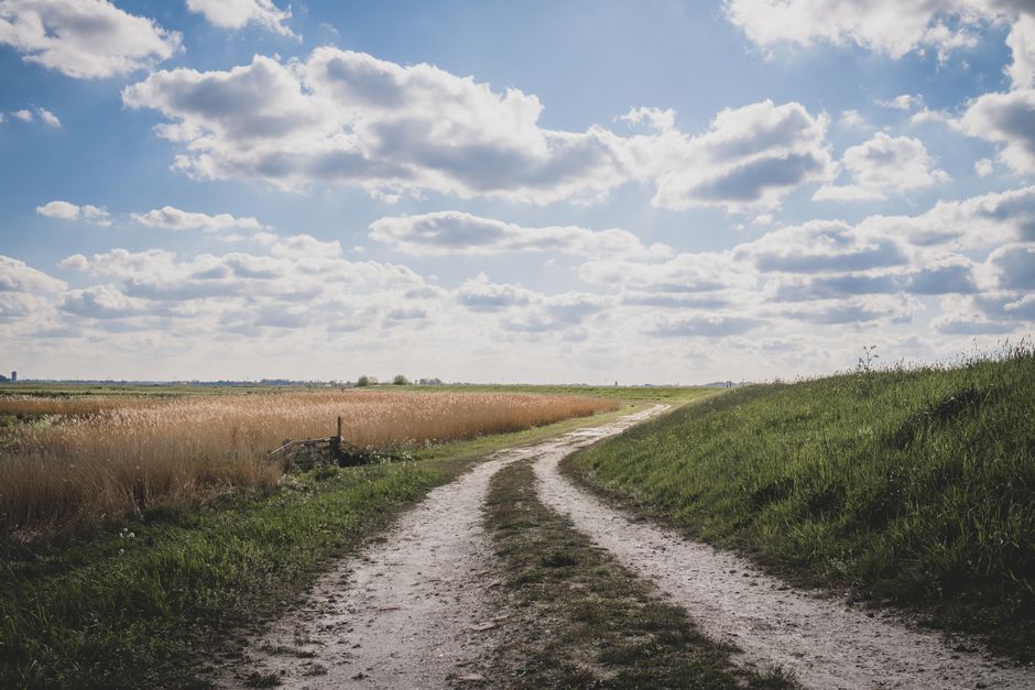 What Each Path Really Means For Returns