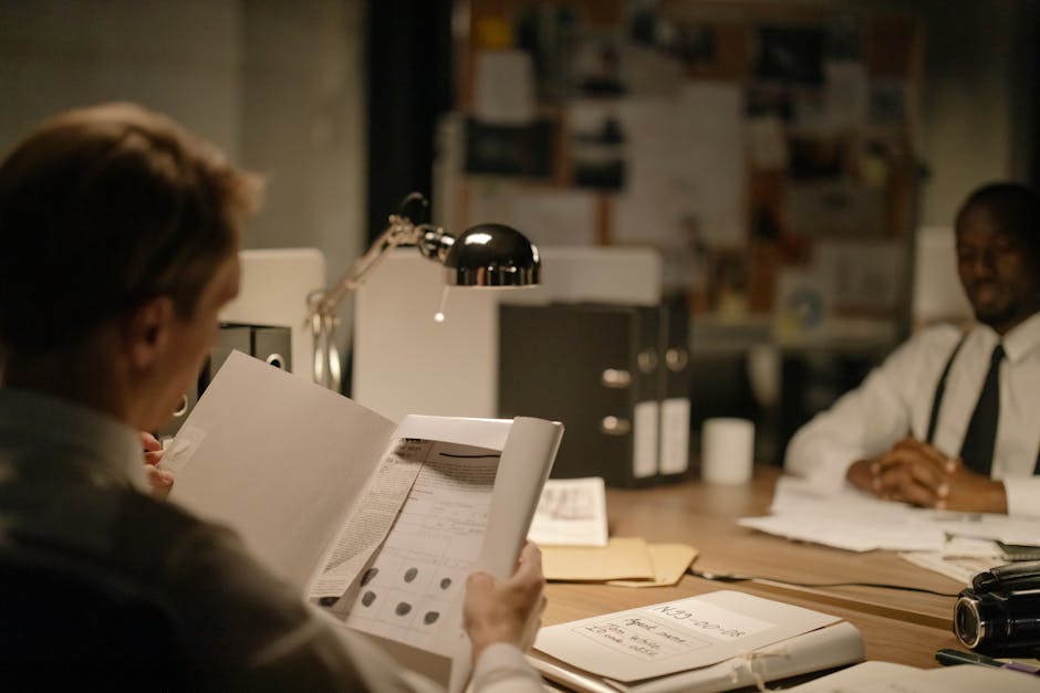 Official response and investigations