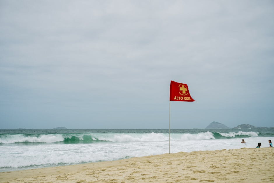 Risk Flags You Can’t Ignore
