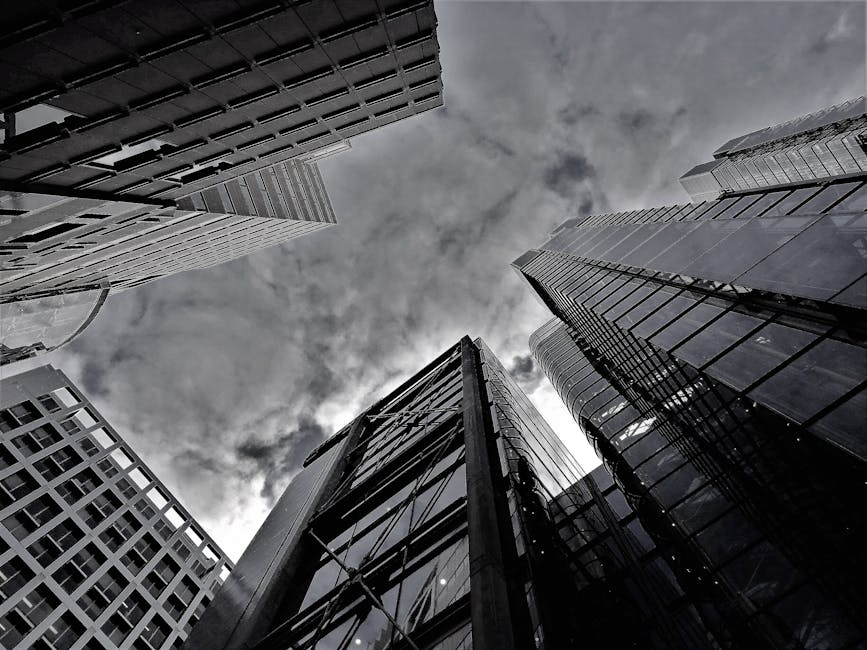 Industry Response and Expert Voices