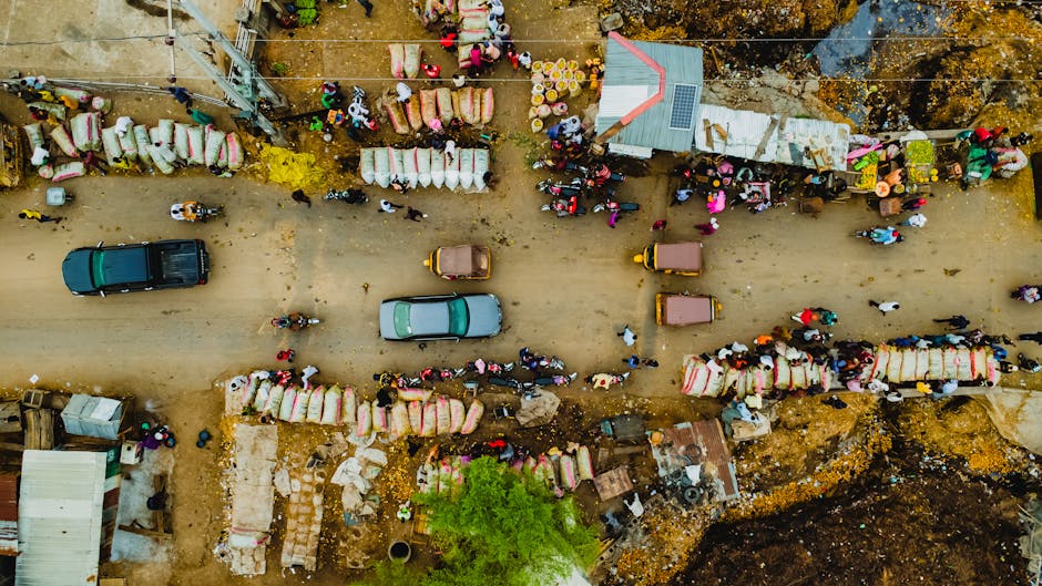 Market backdrop and policy landscape