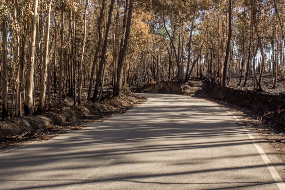 The political calendar and the road ahead